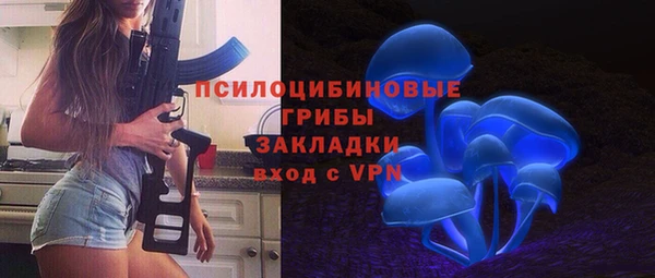 шишки Новодвинск