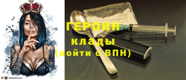 шишки Новодвинск