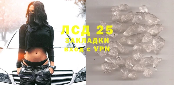 шишки Новодвинск