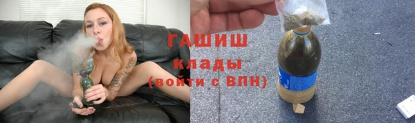 шишки Новодвинск