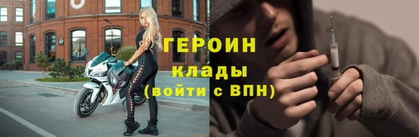 шишки Новодвинск