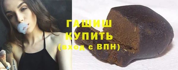 шишки Новодвинск