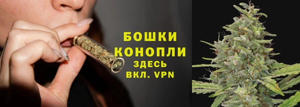 mdma Новозыбков