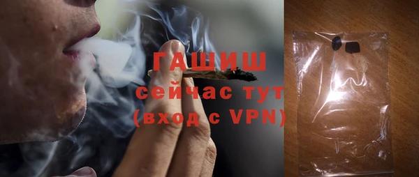 шишки Новодвинск
