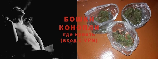 шишки Новодвинск