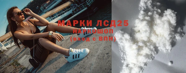 стаф Болотное