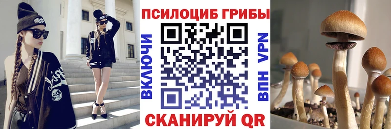 Галлюциногенные грибы Cubensis  Заозёрск 
